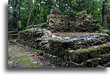 Dom Majów::El Pilar, Belize::