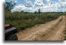 Omijanie szlabanu::Belize::