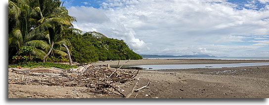 Playa Los Cedros::Montezuma, Kostaryka::