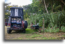 Eco Kamping Papagayo::Playa Panamá, Kostaryka::