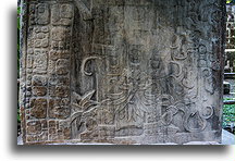 Stela 9::El Ceibal, Gwatemala::