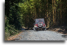Gaj bambusowy::Route AV-29, Gwatemala::