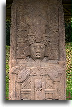 Stela C - 29 grudnia 775::Quiriguá, Guatemala::