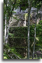 Budynek C::Topoxté, Gwatemala::