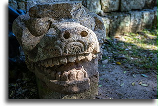 Głowa pierzastego węża::Copán, Honduras::