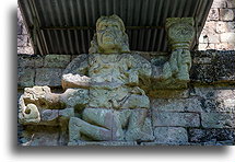 Bóg małpy wyjcowej::Copán, Honduras::
