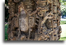 Stela N::Copán, Honduras::