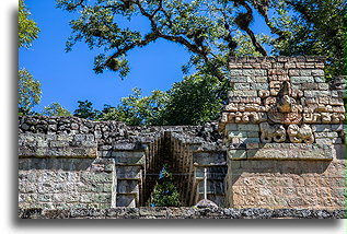 Łęk pozorny::Copán, Honduras::