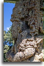 Stela C, rok 730::Copán, Honduras::