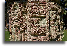 Tył Steli C::Copán, Honduras::