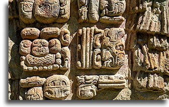 Tył Steli A::Copán, Honduras::