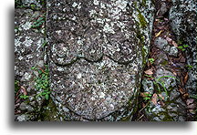 Sculpted Rock::Copán Ruinas, Honduras::