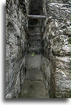 Pokój pałacowy #1::Calakmul, Campeche, Meksyk::