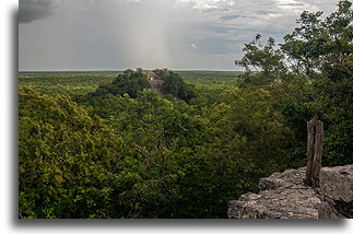 Struktura III::Calakmul, Campeche, Meksyk::