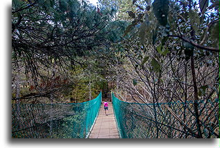 Wiszące mosty #1::El Arcotete, Chapas, Mexico::