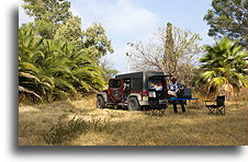 W cieniu palm::San Bernardo, Michoacán, Meksyk::