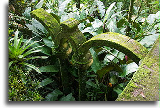 Łuki::Las Pozas, San Luis Potosi, Meksyk::