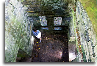 Dom jelenia::Las Pozas, San Luis Potosi, Meksyk::