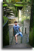 Dom flaminga::Las Pozas, San Luis Potosi, Meksyk::