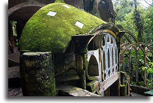 Dom papużek #1::Las Pozas, San Luis Potosi, Meksyk::
