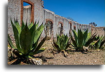 Hacienda El Triángulo  #1::Mineral de Pozos. Guanajuato. Meksyk::