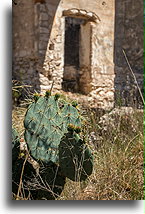 Hacienda 5 Señores #2::Mineral de Pozos. Guanajuato. Meksyk::