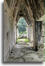 Podparte sklepienie ::Palenque, Chiapas, Meksyk::