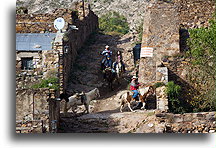 Konie::Real de Catorce, San Luis Potosi, Meksyk::