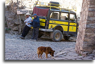 Willys i pies::Real de Catorce, San Luis Potosi, Meksyk::