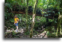 W drodze do zaginionych wodospadów::Boquete, Panama::
