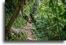 Szlak do zaginionych wodospadów::Boquete, Panama::