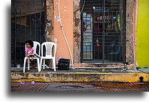 Mały mieszkaniec::Casco Viejo, Panama::