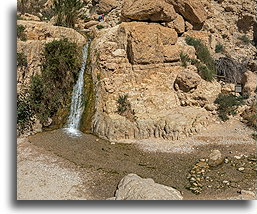 Dolina Dawida #1::En Gedi, Izrael::