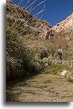 Dolina Dawida #2::En Gedi, Izrael::