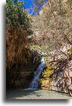 Dolina Dawida #3::En Gedi, Izrael::