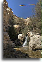 Dolina Dawida #4::En Gedi, Izrael::