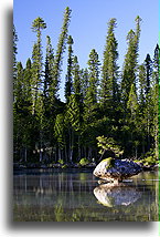 W basenie naturalnym::Wyspa Choinek, Nowa Kaledonia, Oceania::