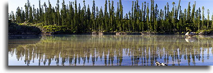 Naturalny basen::Wyspa Choinek, Nowa Kaledonia, Oceania::