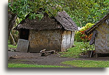 Chaty na Malakula #1::Wyspa Malakula, Vanuatu, Południowy Pacyfik::
