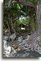 Bungalowy Rose Bay::Wyspa Malakula, Vanuatu, Południowy Pacyfik::