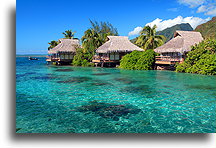 Nad wodą::Moorea, Polinezja Francuska::