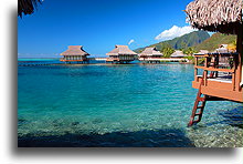 Wejście do wody::Moorea, Polinezja Francuska::