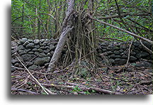 Kamienny murek::Nuku Hiva, Markizy::