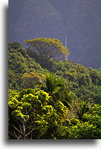 Wodospad Taipivai #1::Nuku Hiva, Marquesas::