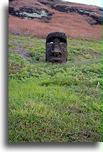 Twarz z Rano Raraku::Wyspa Wielkanocna::