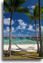 Hamak::Rangiroa, Tuamotu, Polinezja Francuska::