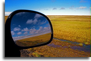 Tundra arktyczna::Barrow, Alaska, USA::