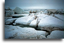 Alaska północna - Arktyka