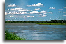 Leniwa rzeka Yukon::Alaska, Stany Zjednoczone::