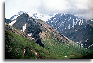 Góry Alaska w Denali::Alaska, Stany Zjednoczone::